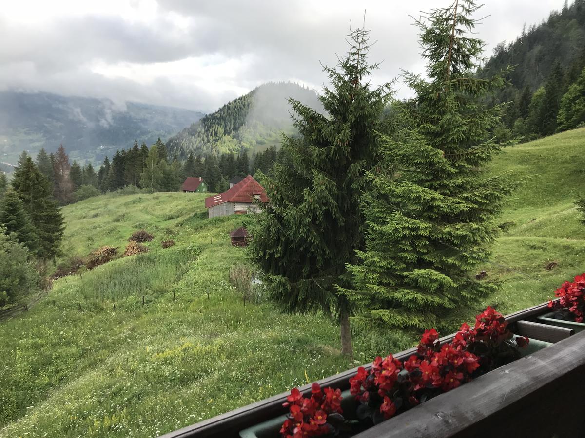 La Cabana Băile Borşa Eksteriør bilde